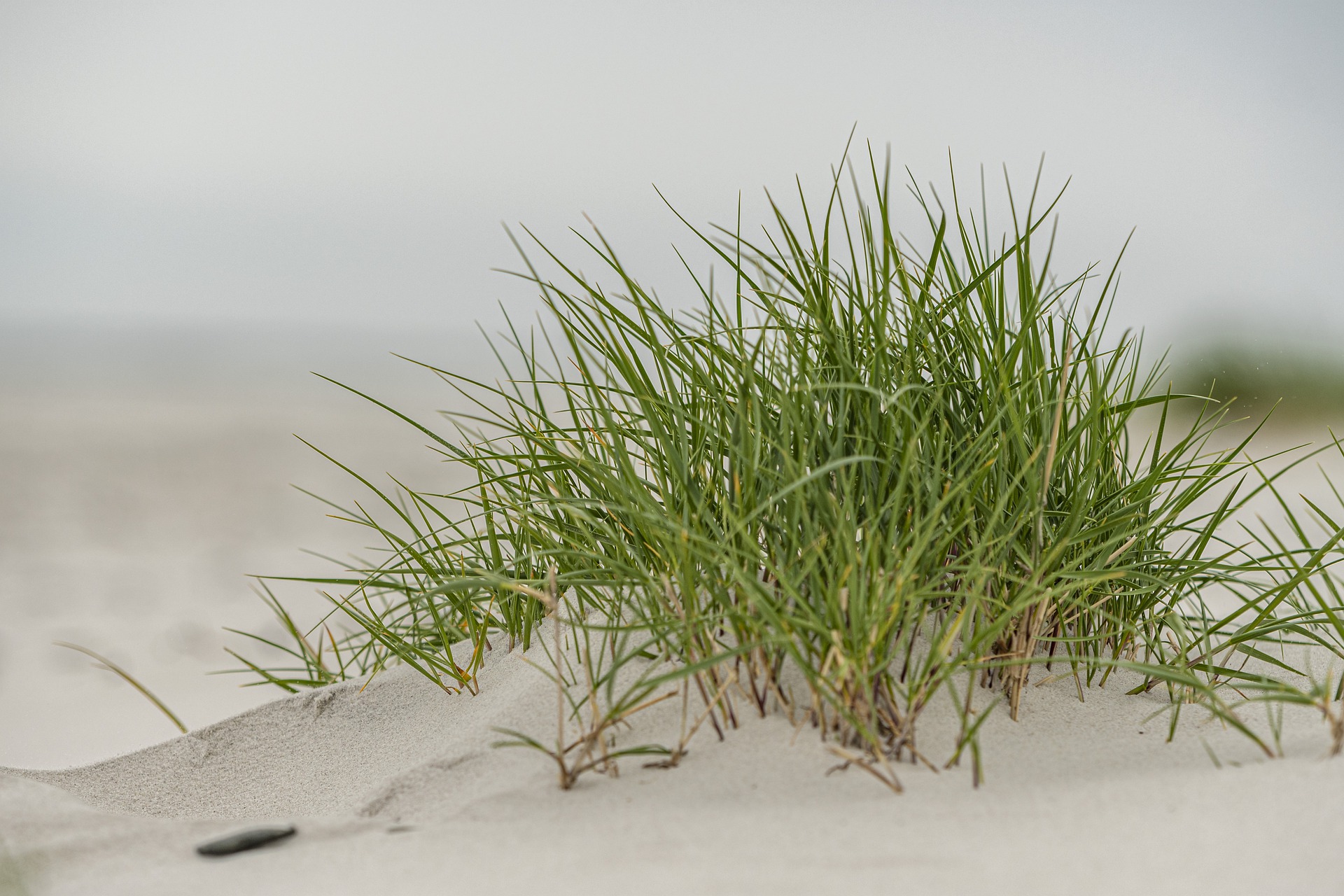 Ostsee-Strand